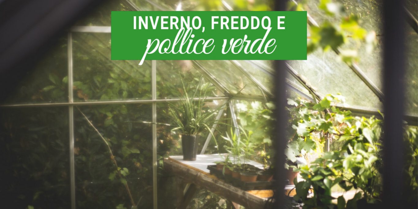 protezione delle piante dal freddo