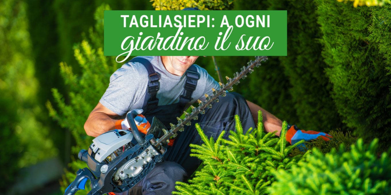 Come scegliere il tagliasiepi