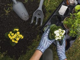 offerte primavera 2019 attrezzi per il giardinaggio