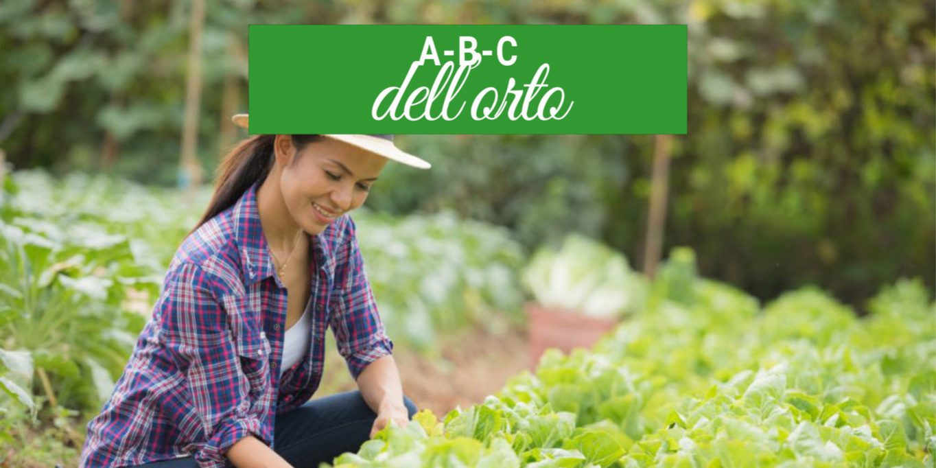 l'orto come hobby