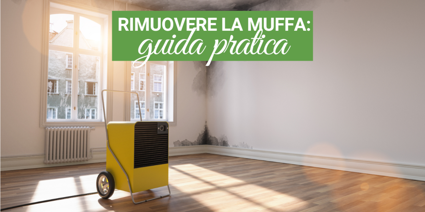 combattere la muffa