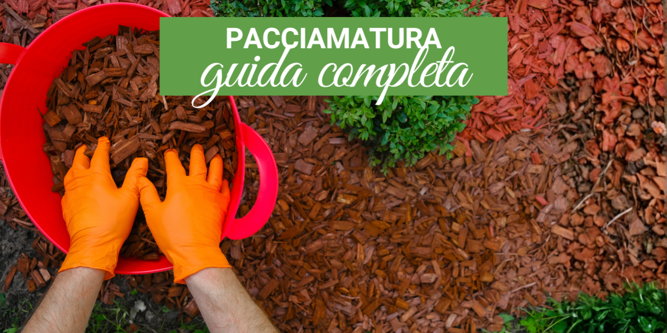 Pacciamatura